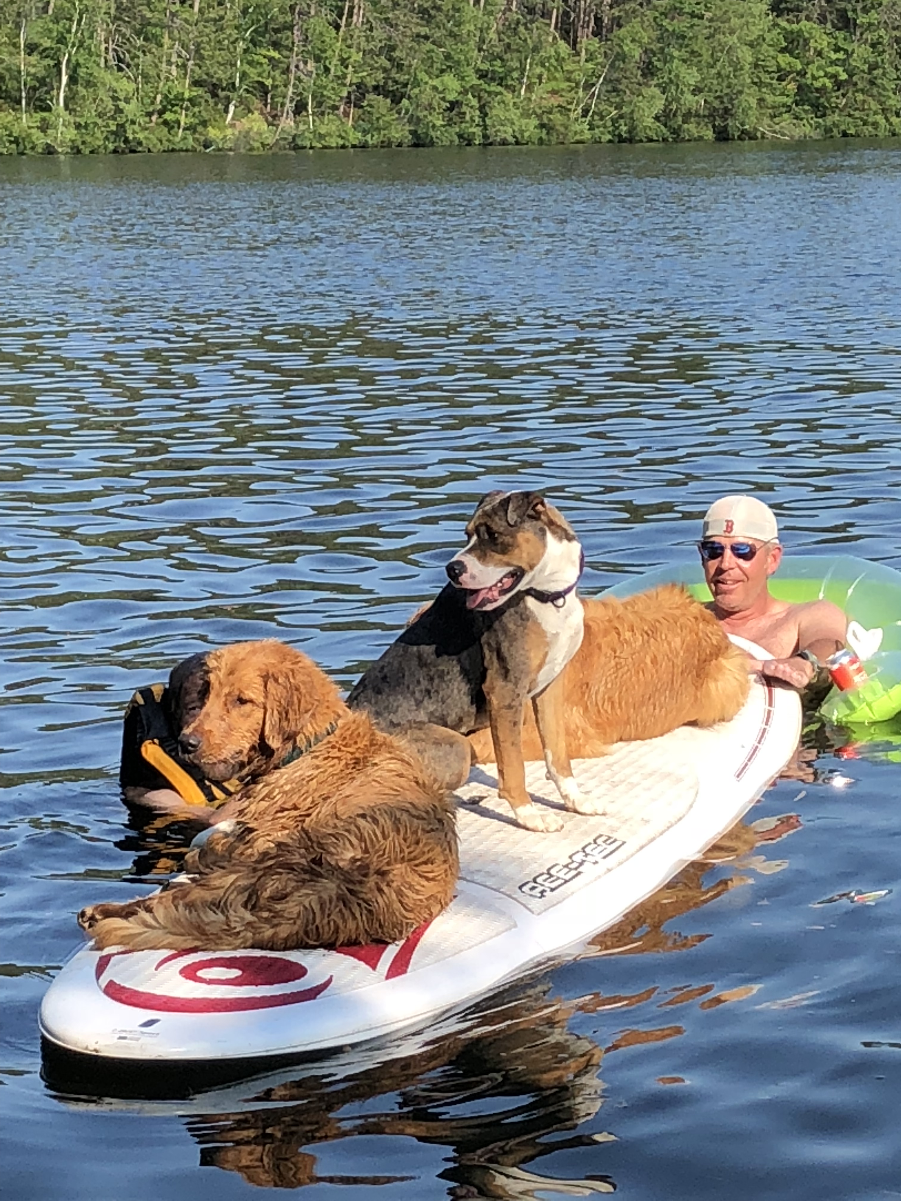 Dog days on Paddleboard