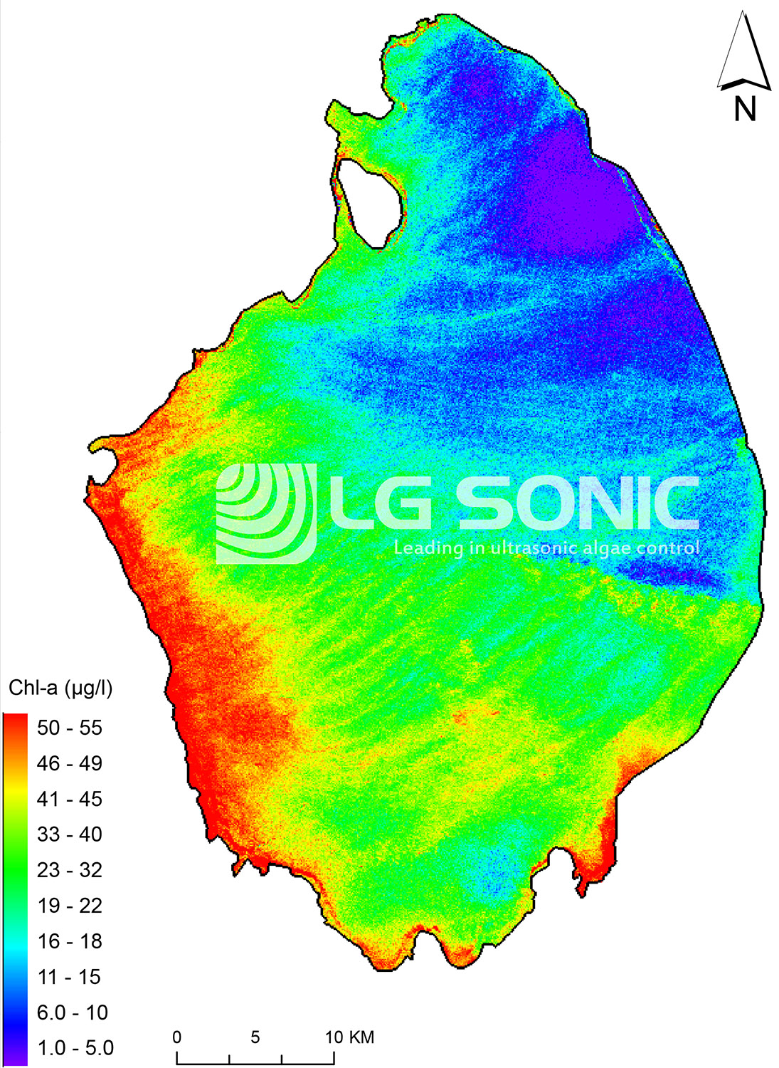 Algae Analysis Lake Okeechobee