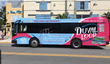 The New Duval Loop Circulator Bus