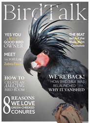 Bird Talk Magazine Returns With New Look, New Content  Image