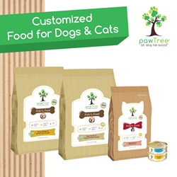 Pawtree cat food best sale