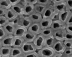 Nanovis’ Nanotube Surface