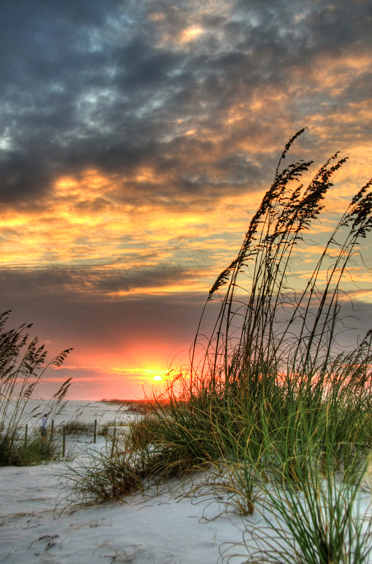 Download Fall in Love with Fall on Pensacola Beach