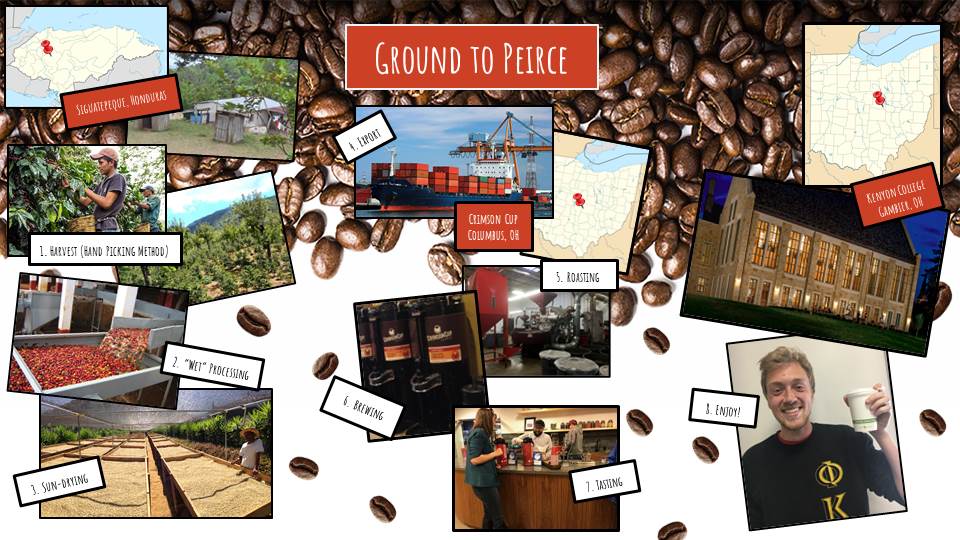 Slide demonstrating seed to cup journey of coffee served in Kenyon's Peirce Dining Hall