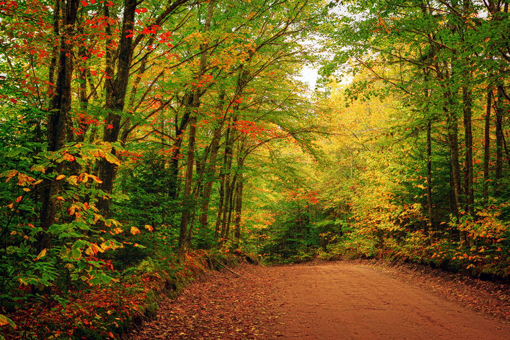 Small Towns Offer Big Charm on Prince Edward Island this Fall