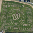 Summers Farm Corn Maze