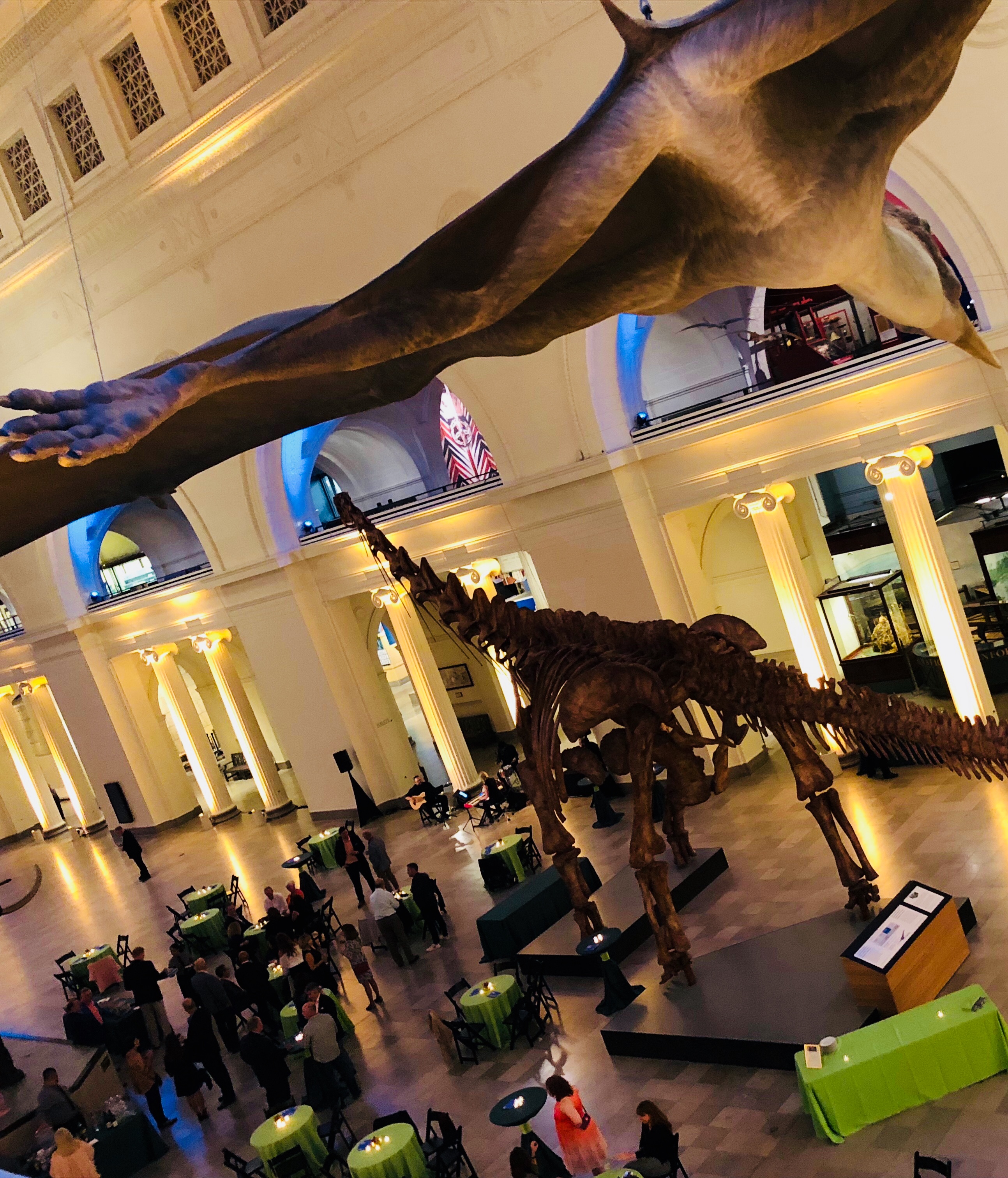 Guests were given the unique chance to dine inside The Field Museum’s stunning Stanley Field Hall, thereafter exploring the world-renowned natural history museum’s vast collection.