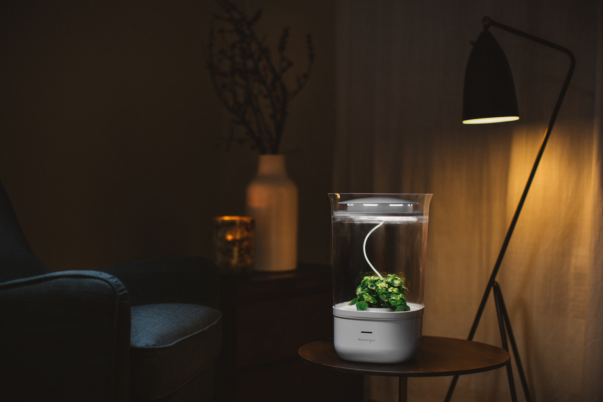 Keep track of your plant's journey in real-time.