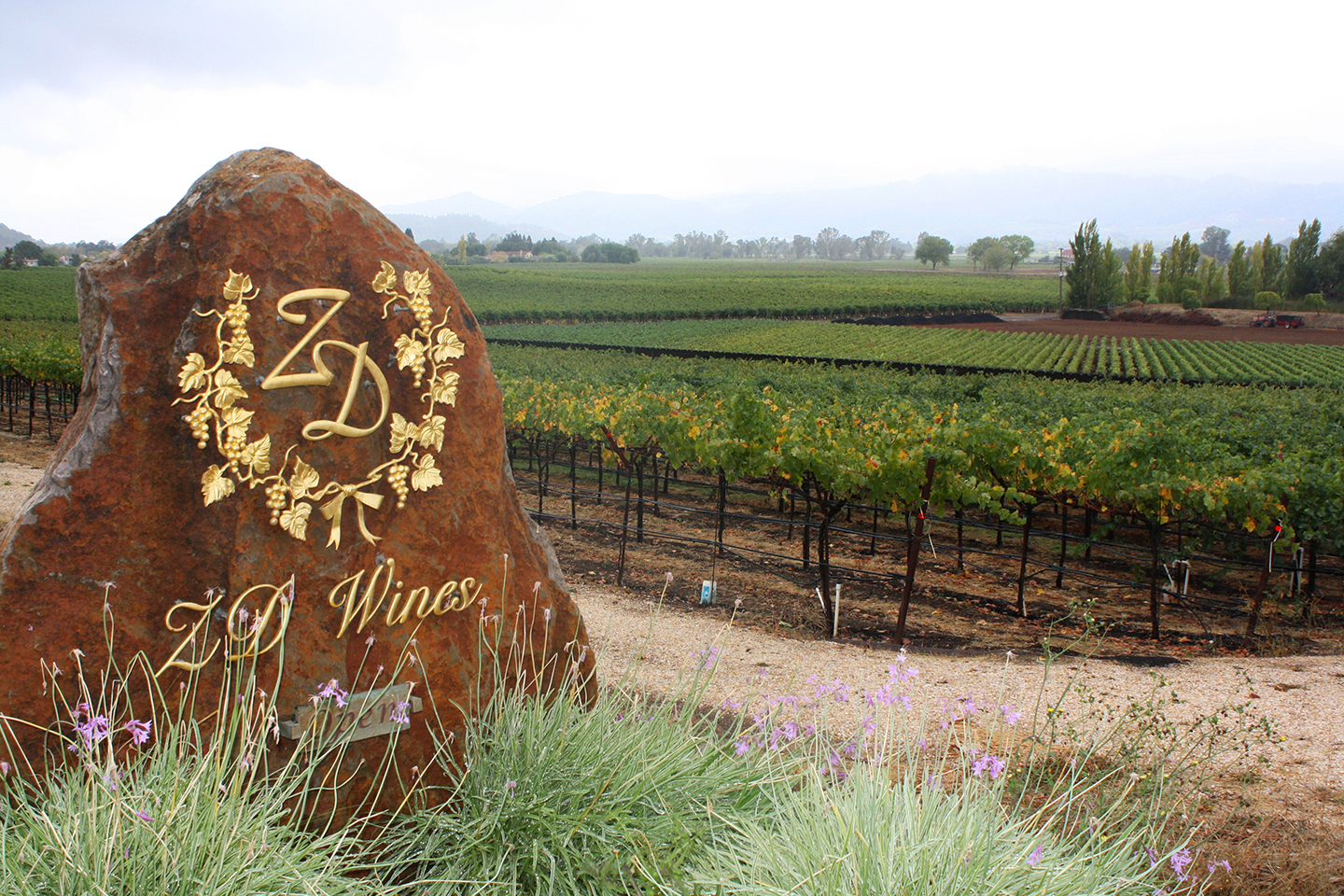 The current ZD team has amassed a fantastic base of winemaking and vineyard management knowledge with more than 100 years of combined experience.