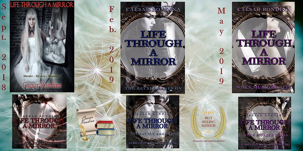 Life Through A Mirror Murder Mystery Series