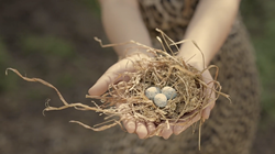 London City Film Awards Screens INDELIBLE WINTER on October 27, 2018,...  Image