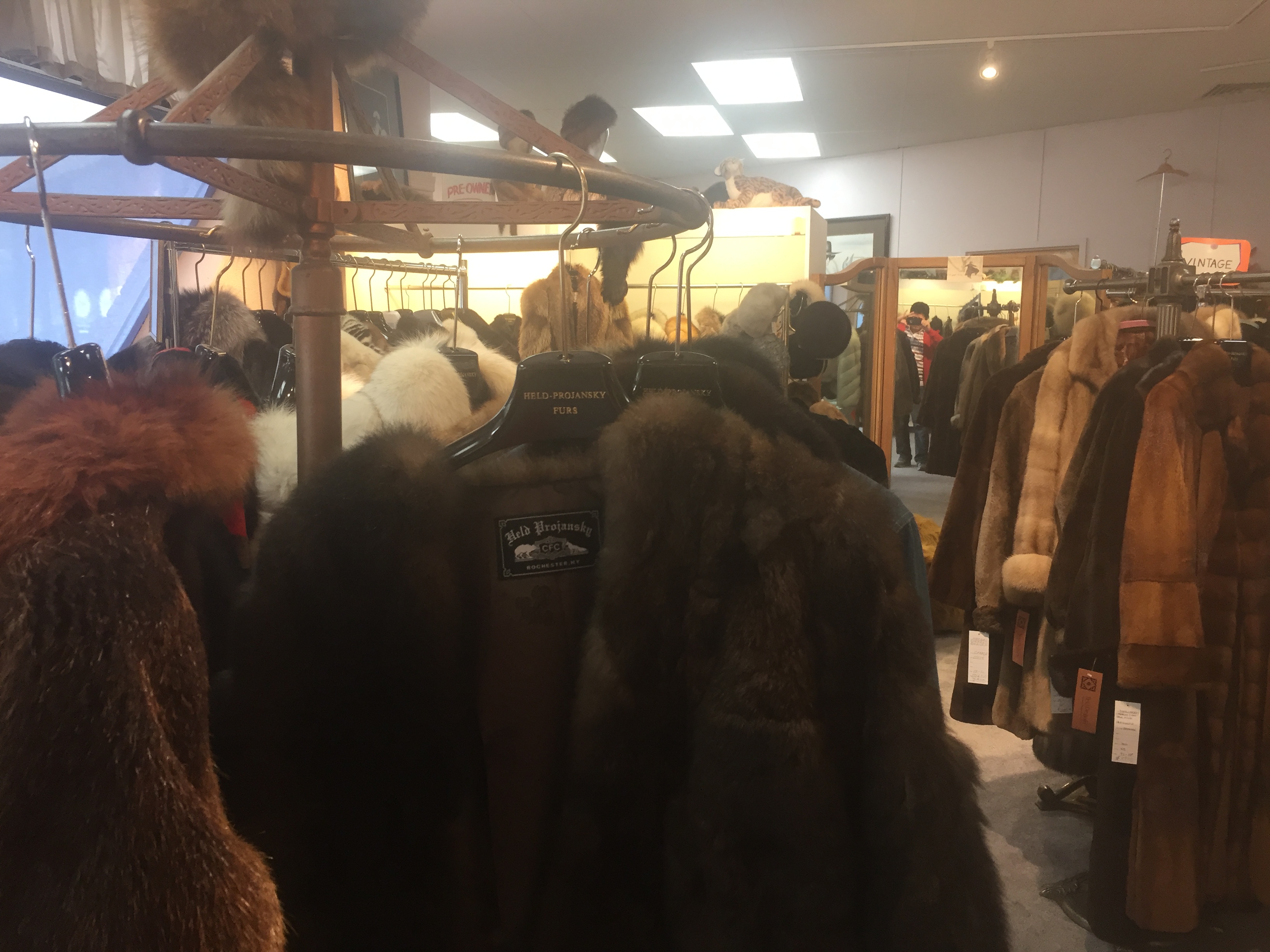 New Fur Fashion Arrivals at Held Projansky Rochester NY