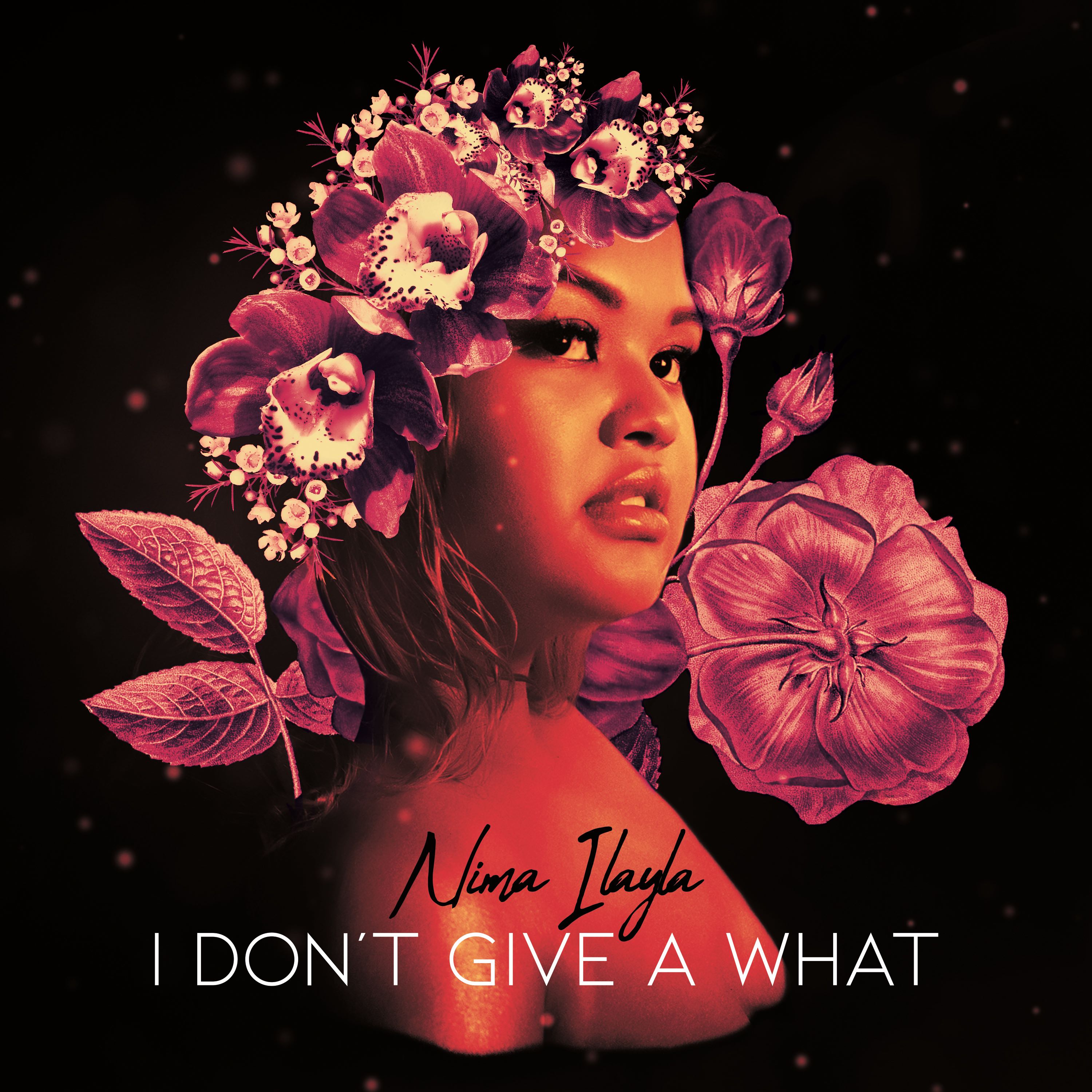 I Don't Give a What - Nima Ilayla