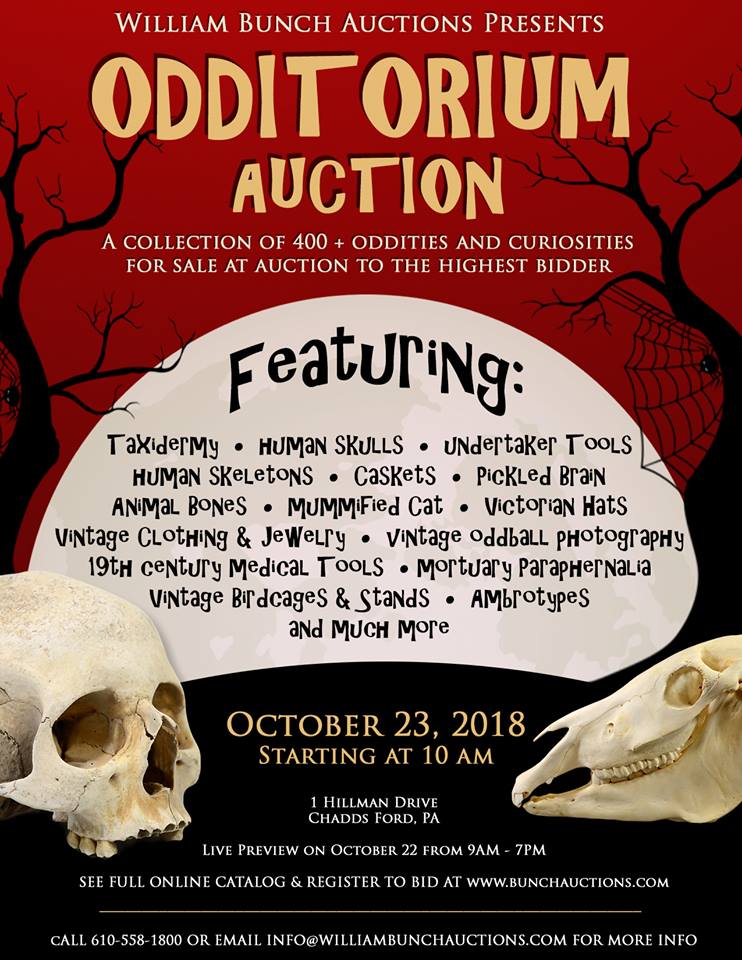 TearDrop Memories Odditorium Auction        Oct 23 2018