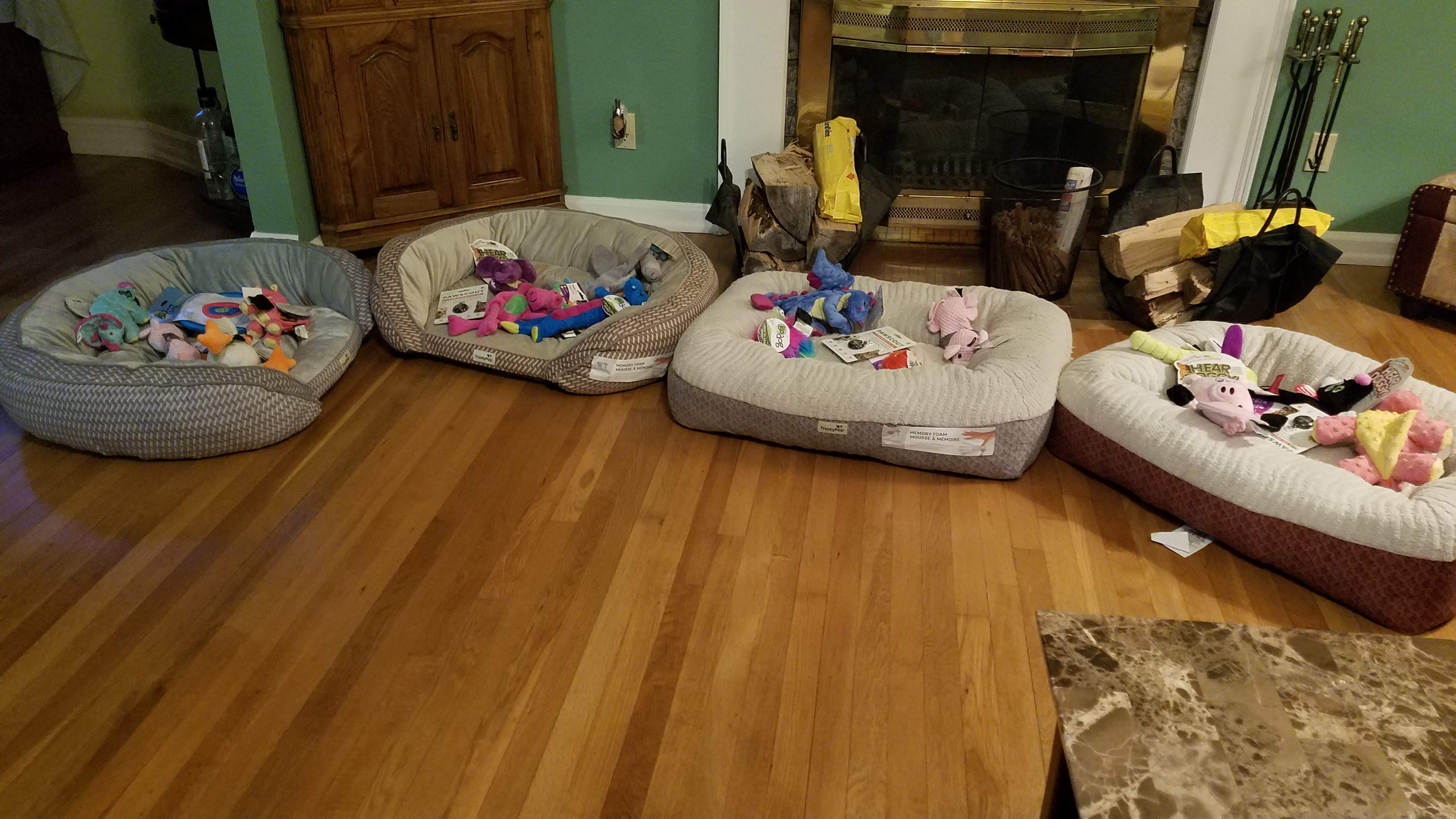 Worldwise Donates Pet Beds Toys to Alexanders Angels Buddy Walk 2018
