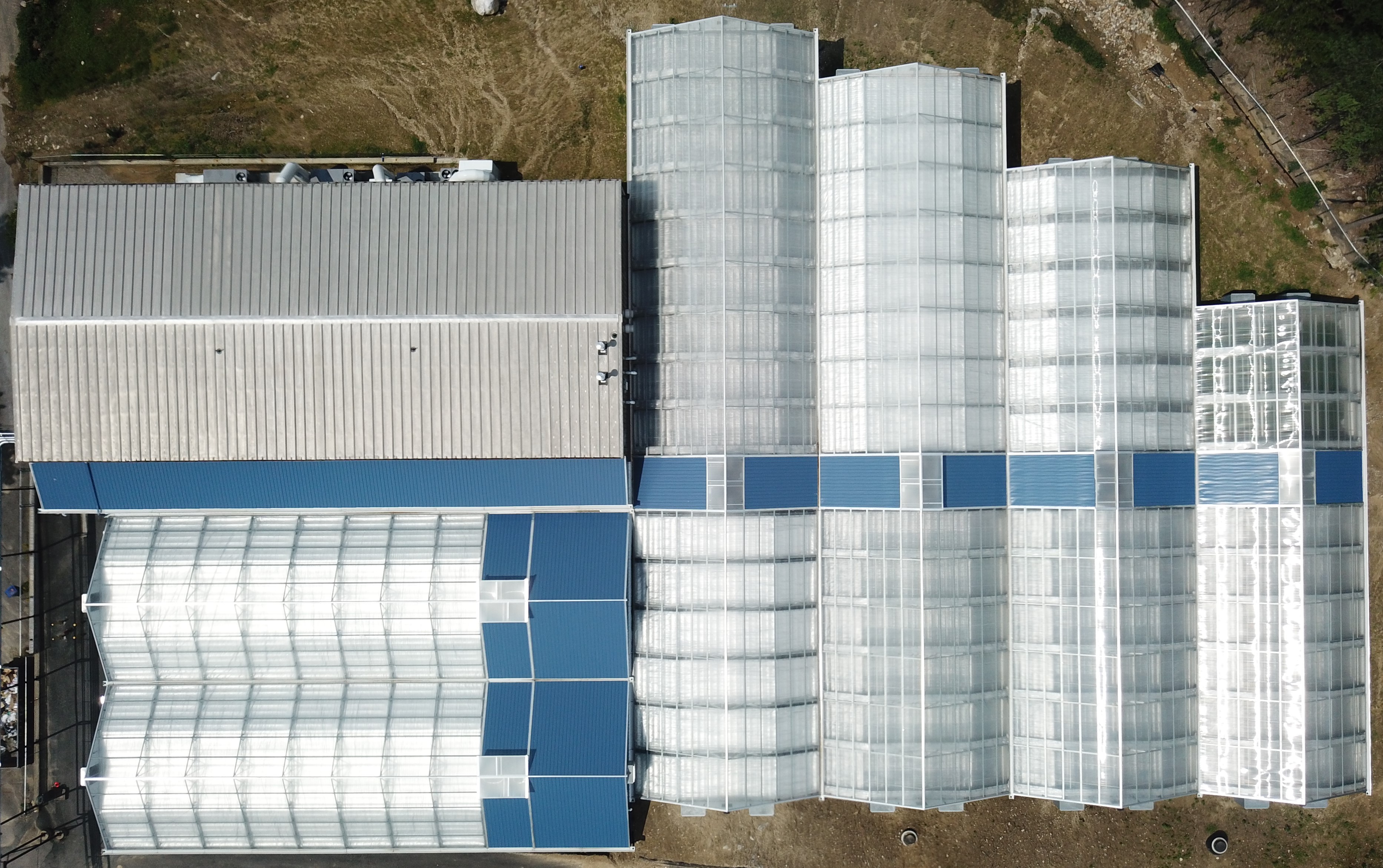 Overhead View of Apothca's Greenhouse