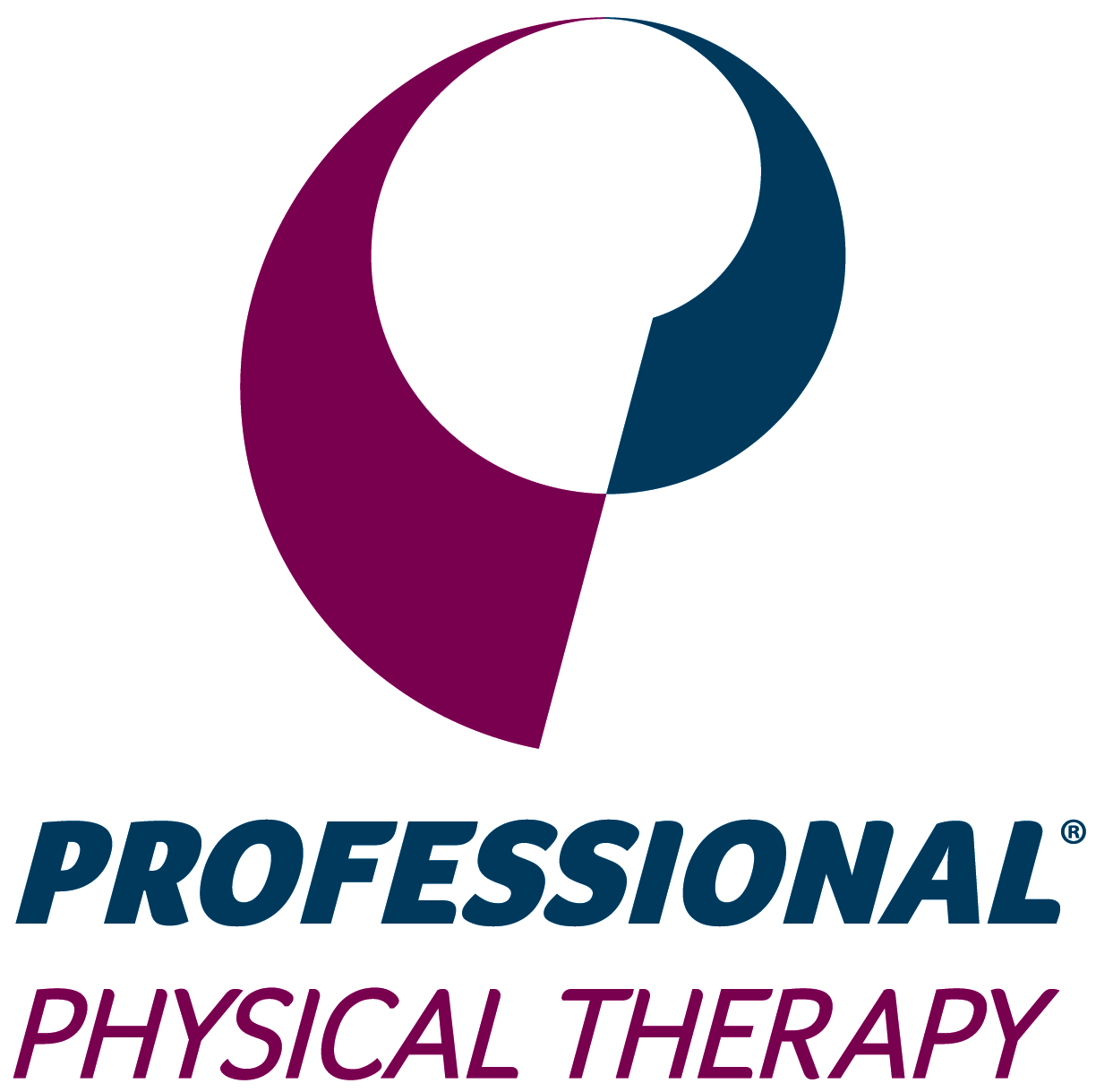 Professional Physical Therapy Logo