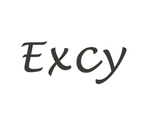 Excy Logo on White Background