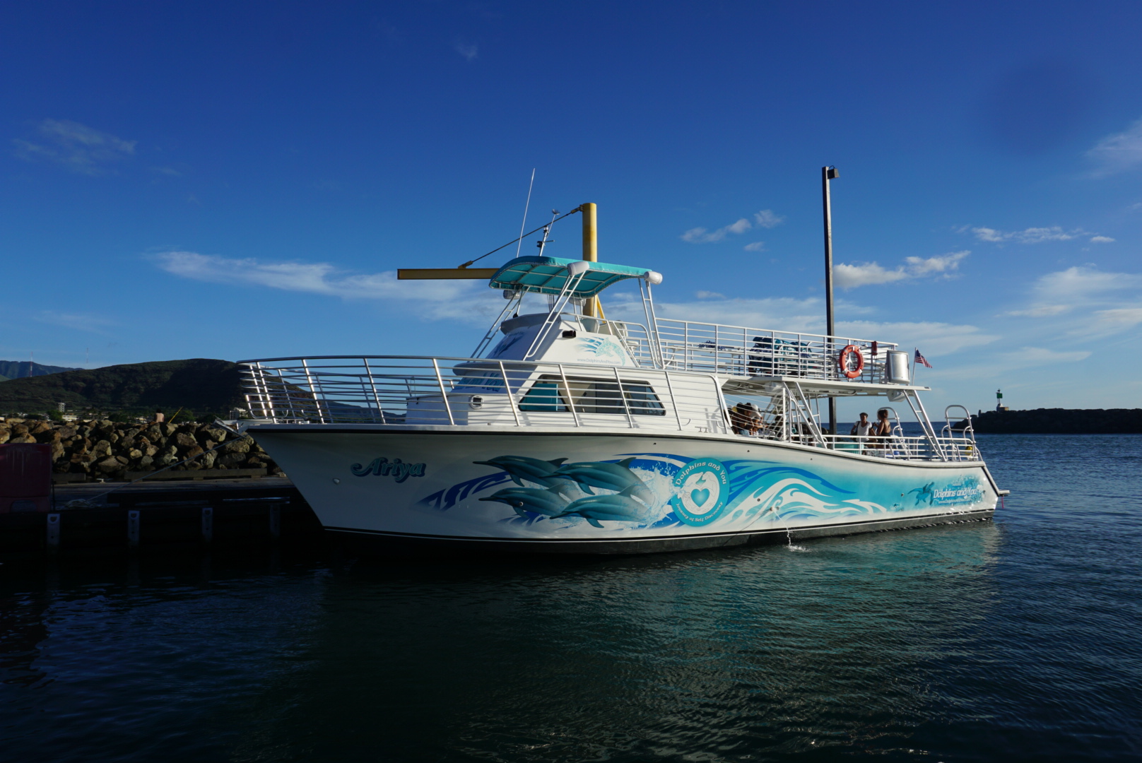 The new whale watching tours were made possible by the purchase of a new boat.