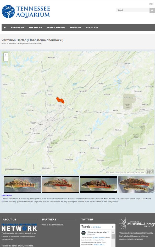 A screen capture of the Vermilion Darter species information on the Freshwater Information Network.