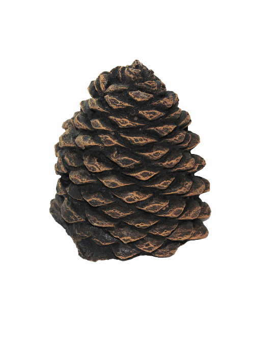 Decorative pine cones are among the wide range of media that has been created for gas fireplaces, Hargrove Manufacturing Corp.