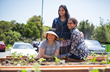 San Jose, California, gardening, corporate gardens, human resources, Corporate Organic Vegetable Gardening Programs, organic gardening, wellness programs, employee health