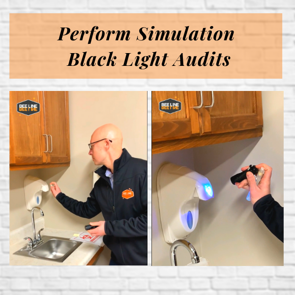 We perform black light auditing simulations