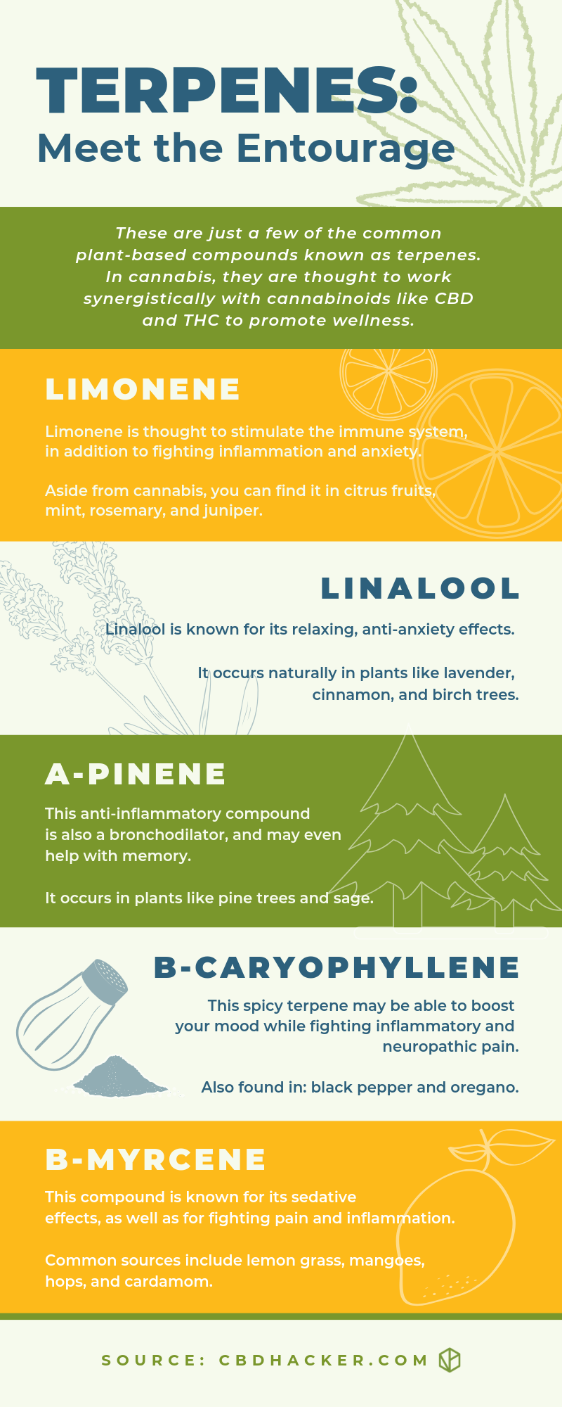 Terpenes infographic - CBD Hacker