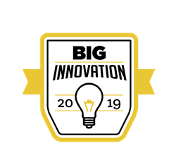 Logo for the 2019 BIG Innovation Awards