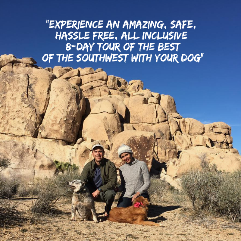 Ultimate Dog Lover's Adventure - Grand Canyon and Southwest Tour