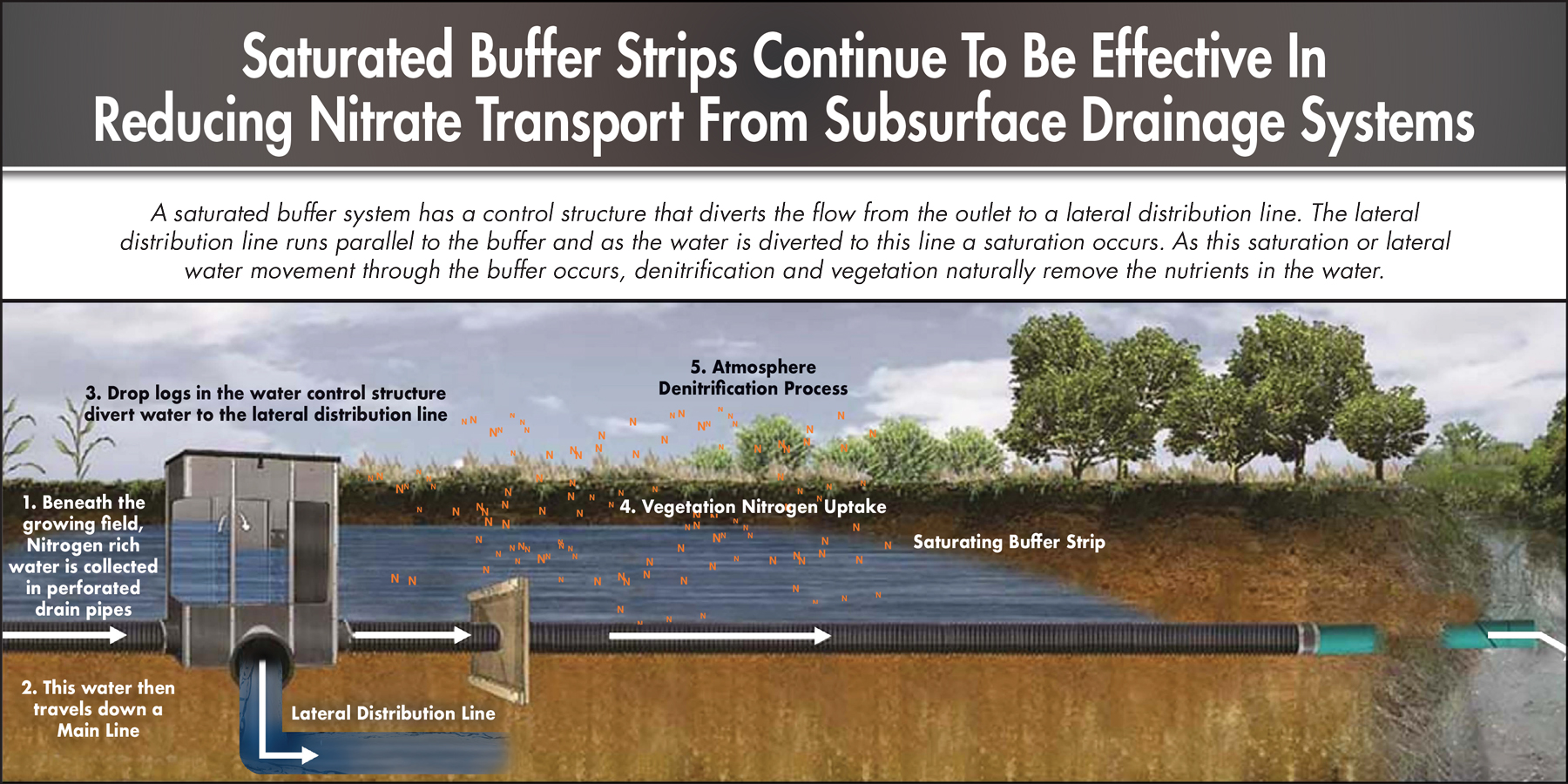 How a Saturated Buffer System Works
