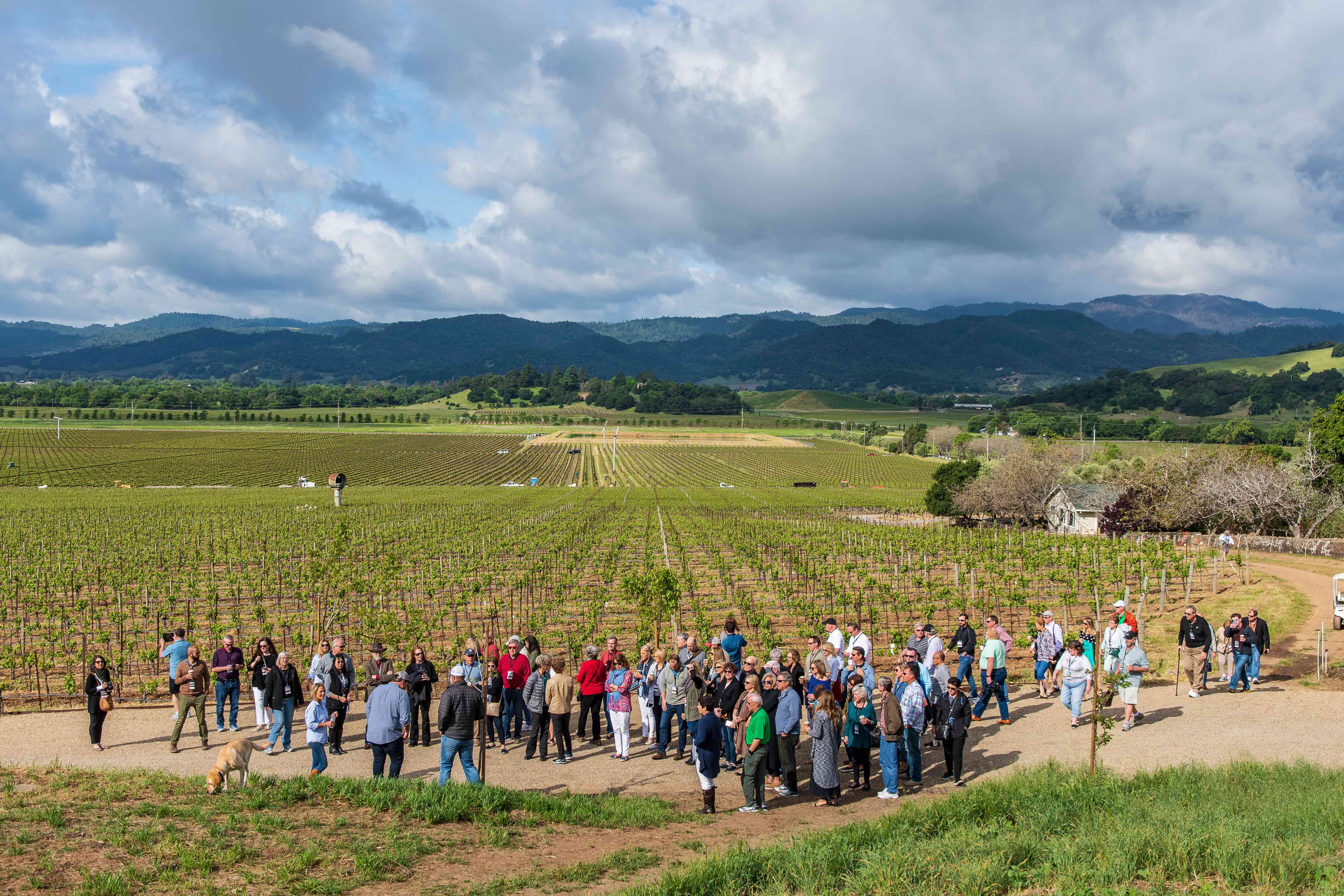 New this year is an in-depth series of immersive seminars that explore the region’s famed history, terroir, and the people that make the wines so inimitable.