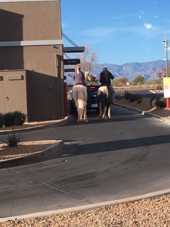 Horses at the Arby's Drive Through