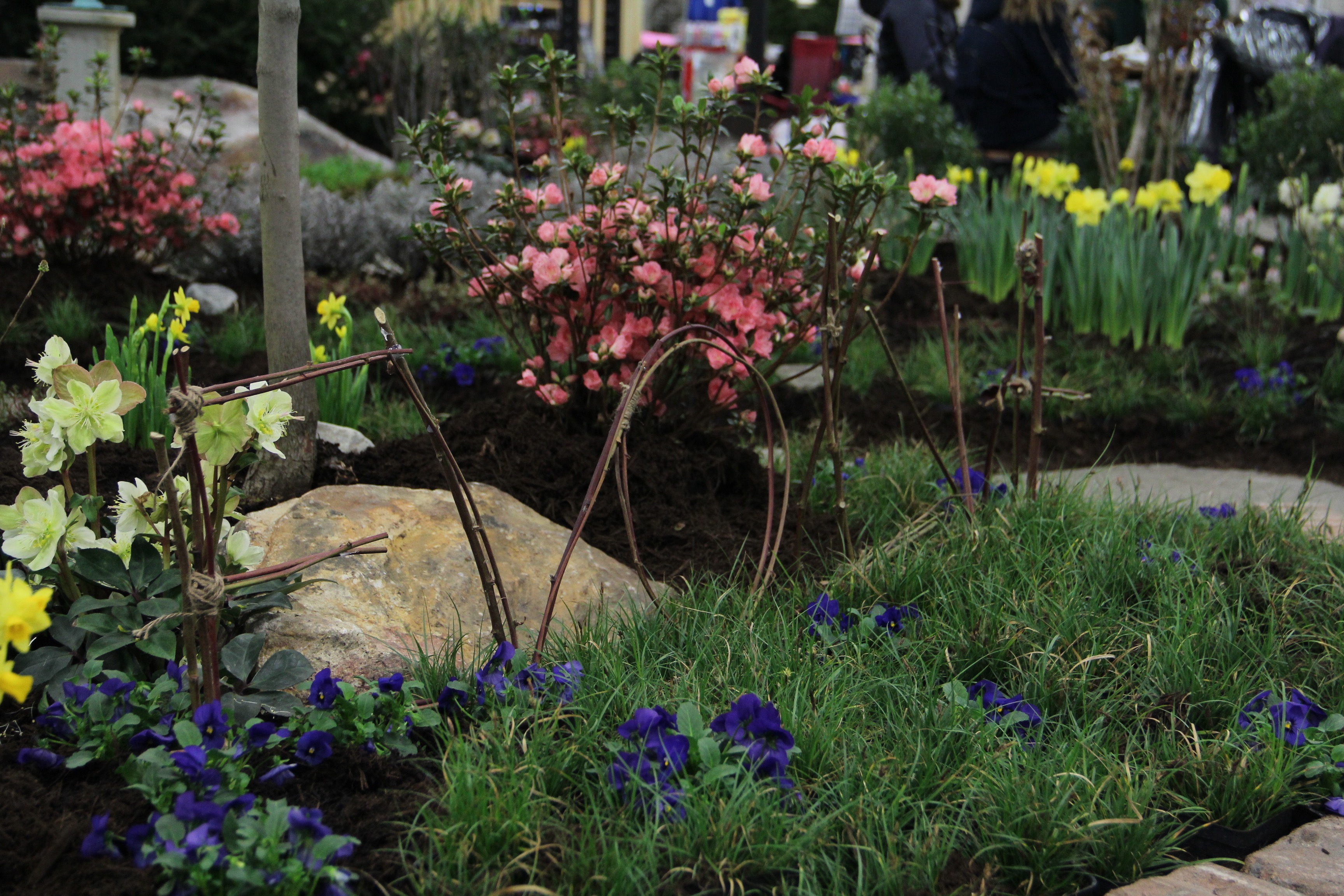 lehigh valley flower and garden show, beautiful flowers, more