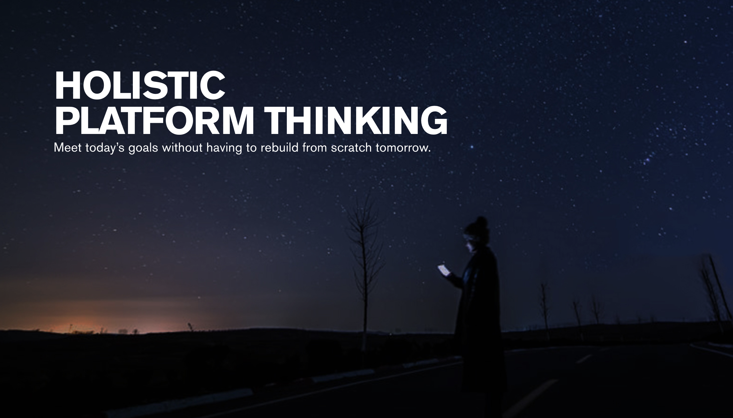 Holistic Platform Thinking