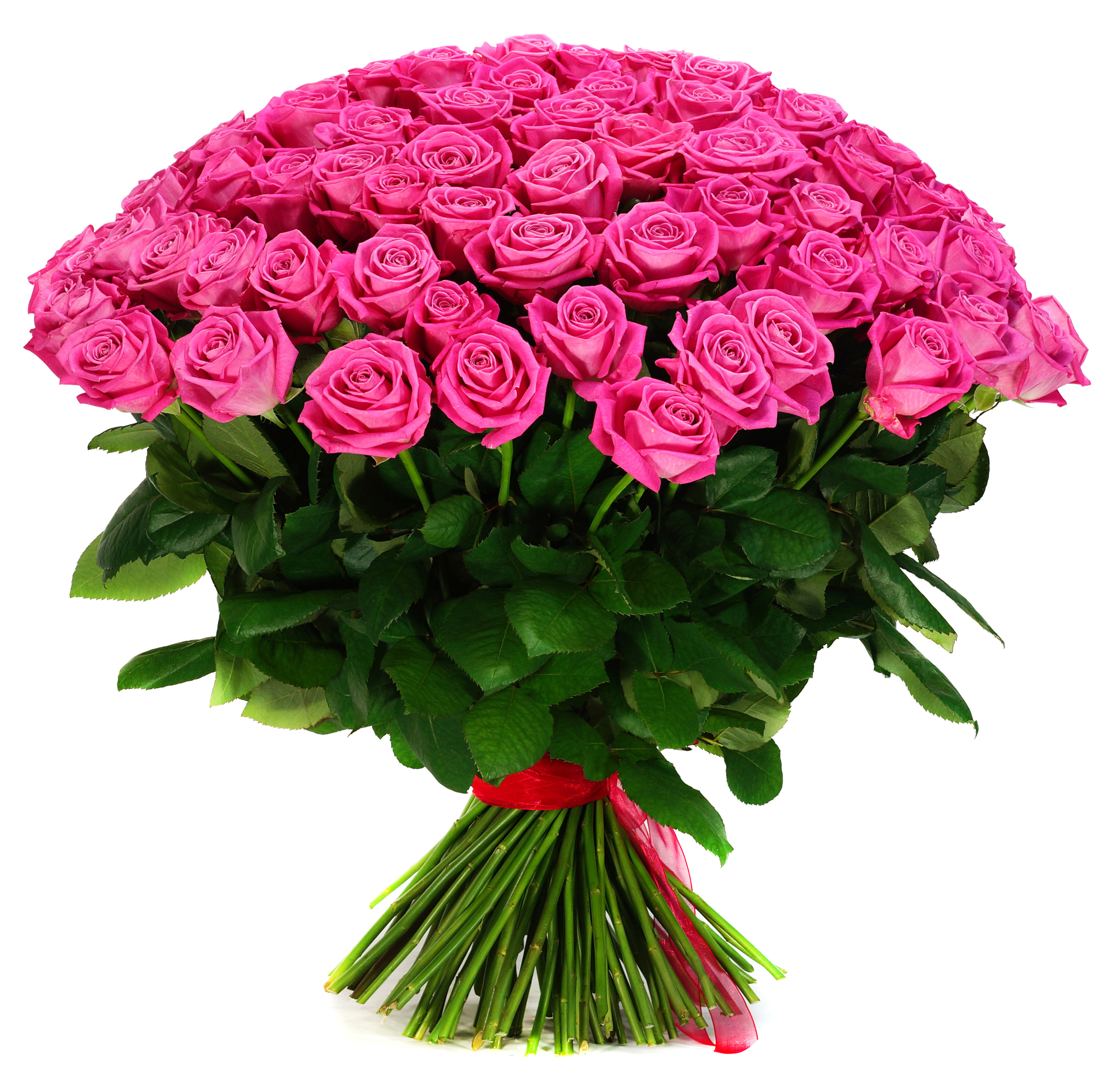 Let a co-worker know she matters with a purple pink rose bouquet from CFM