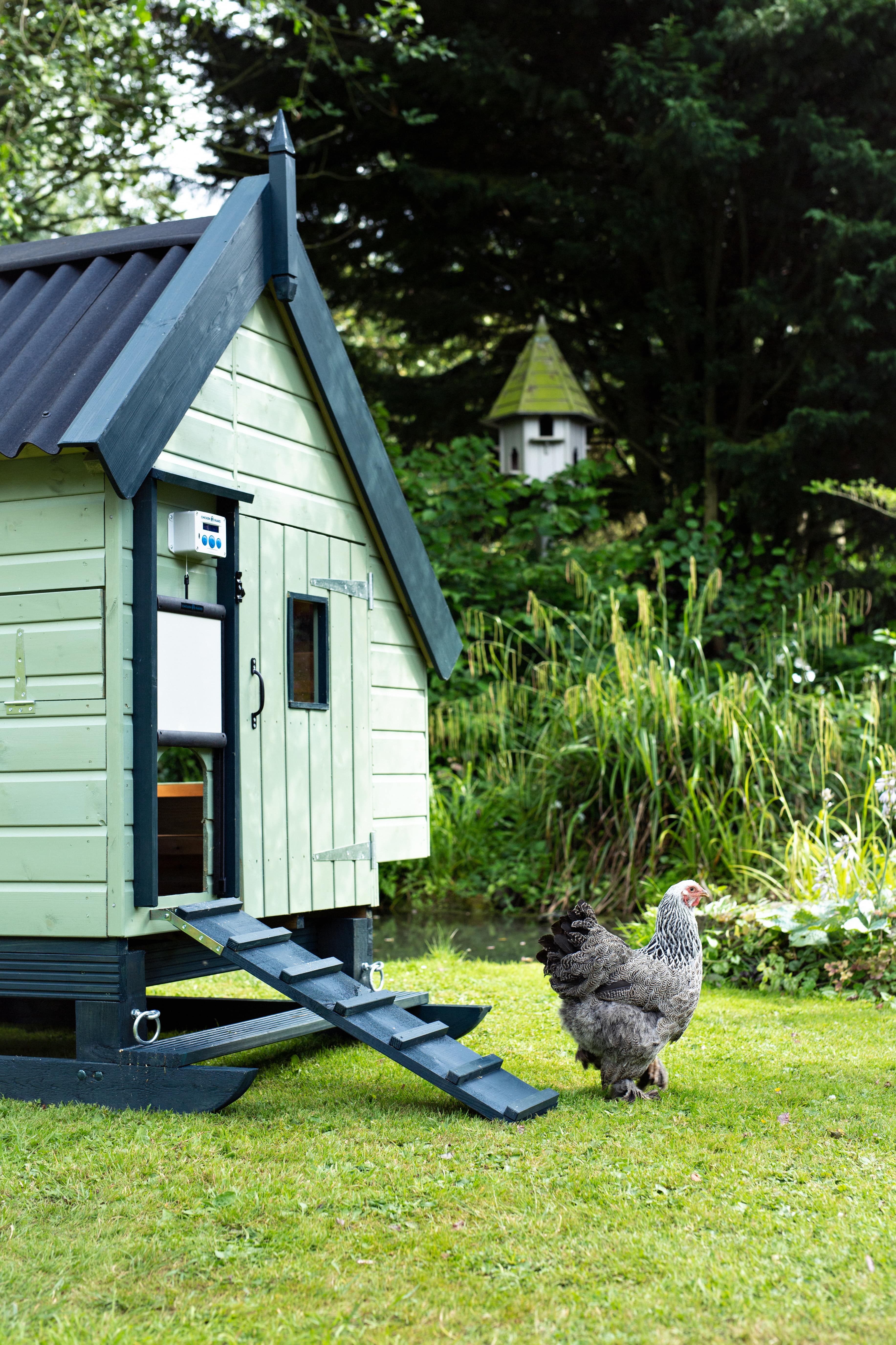 Find out while your chickens will love ChickenGuard at Global Pet Expo!