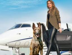 Family Protection Dogs