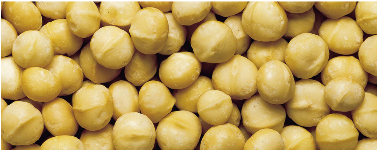 Macadamia Kernels