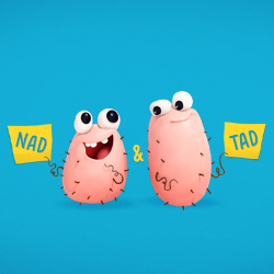 Nad & Tad Urge Men to Get in Touch With Their Testes