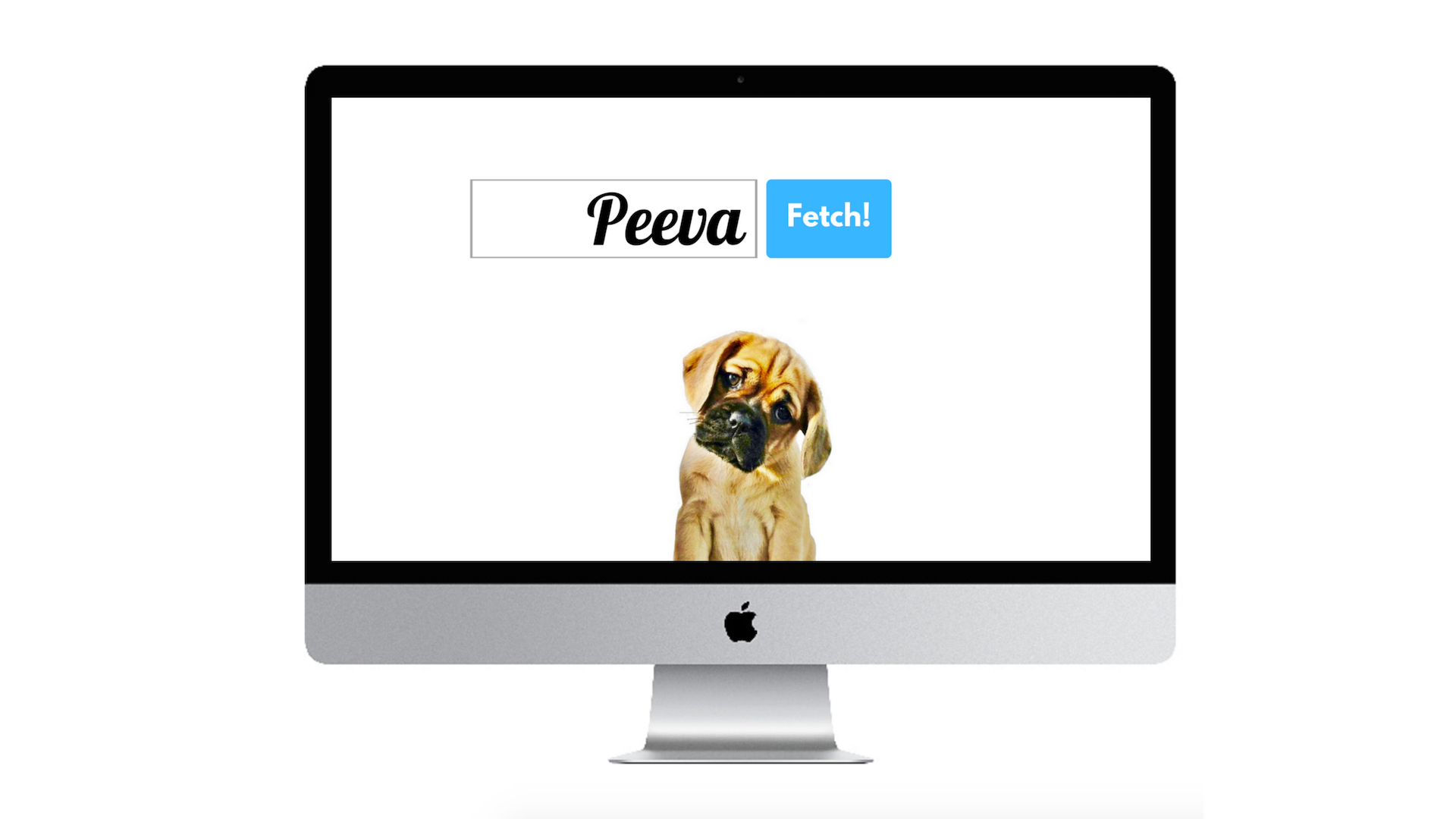 Peeva Fetch