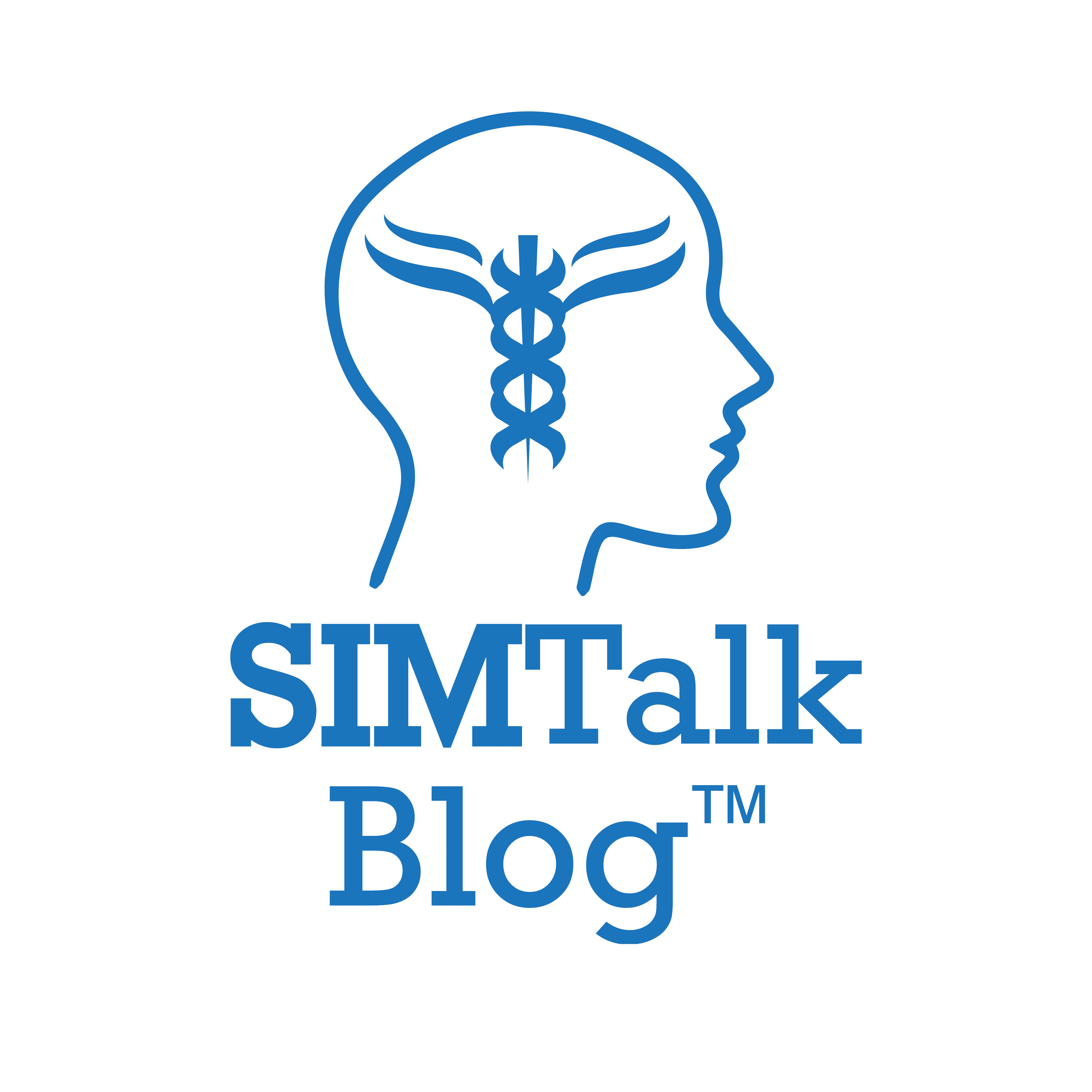 SimTalk Blog Logo