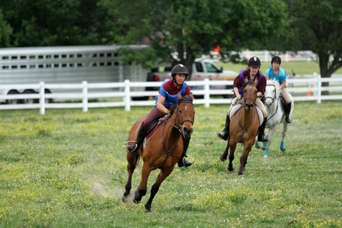 Live, turf horse races are one of the many features of this fabulous event!