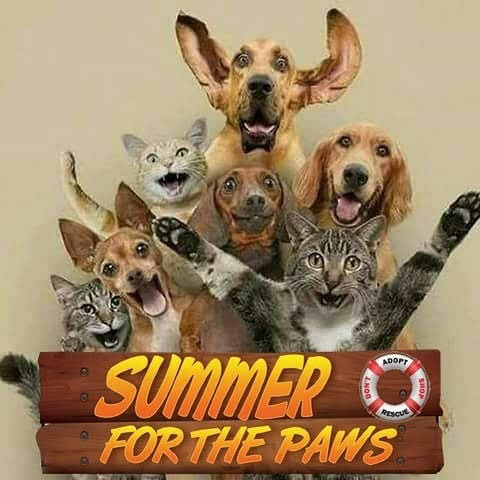 Donate directly to "Summer Of The Paws" GoFundMe page. Click here:https://www.gofundme.com/summer-for-the-paws