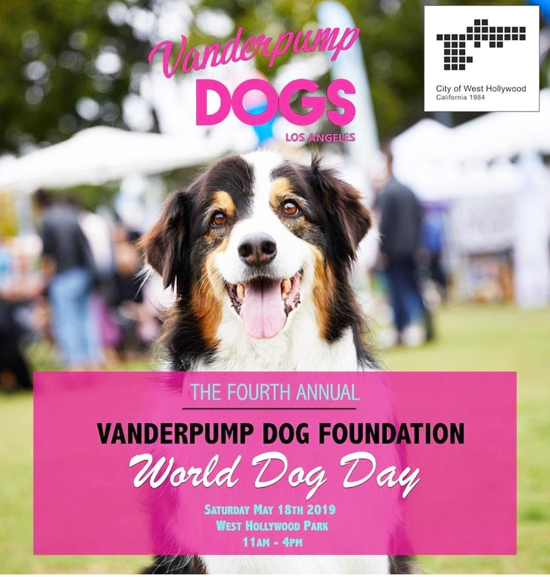 4th Annual World Dog Day - Vanderpump Dogs