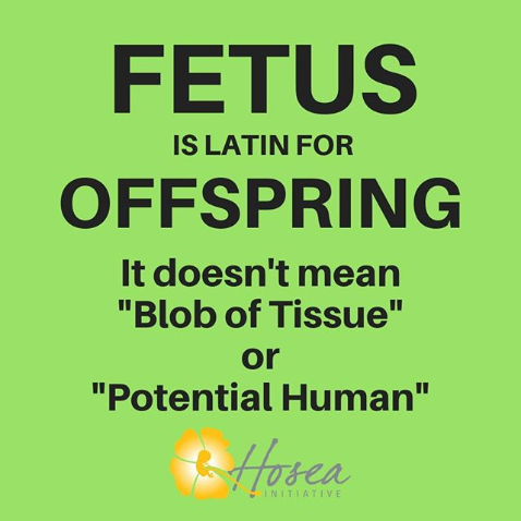 Fetus is Latin for Offspring