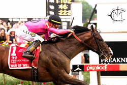 tyler jockey finish stakes 144th equus preakness races place american mccue maryland gallop jim across war club line