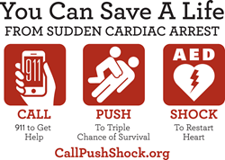 Sudden Cardiac Arrest: Do You Know the Facts? - Featured Stories - News &  Events - ZOLL