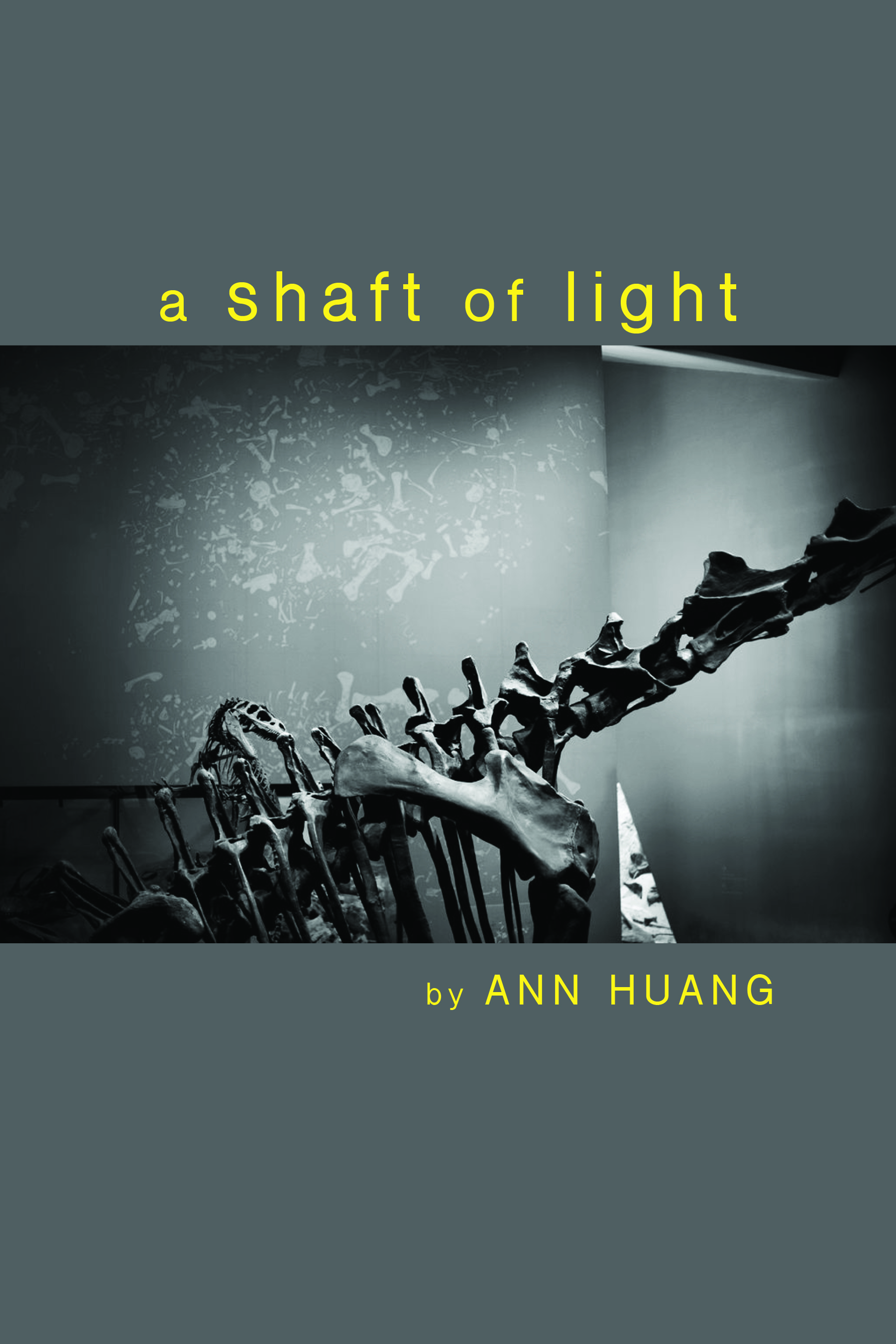 A Shaft of Light