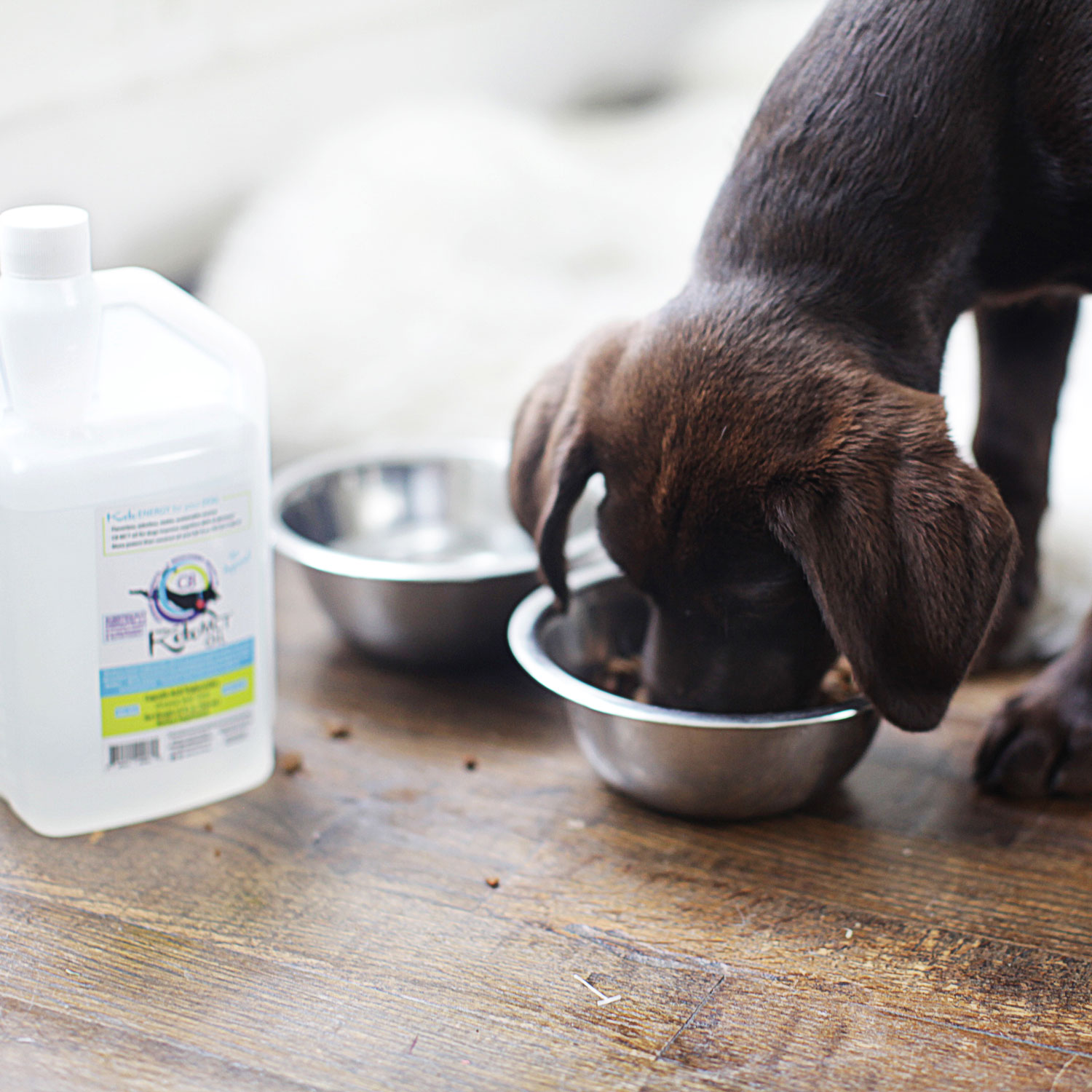 Make your own custom dog treat with our MCT oil, but be careful not to exceed the recommended daily amount of MCT oil for your dog’s weight.